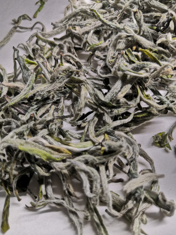 Мэн Шань Инь Фэн 2020 г ( Серебряные пики с горы Мэн Дин)