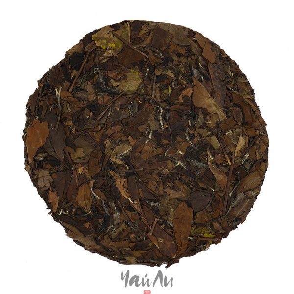 "Гун Мэй" 2019г, Разлом