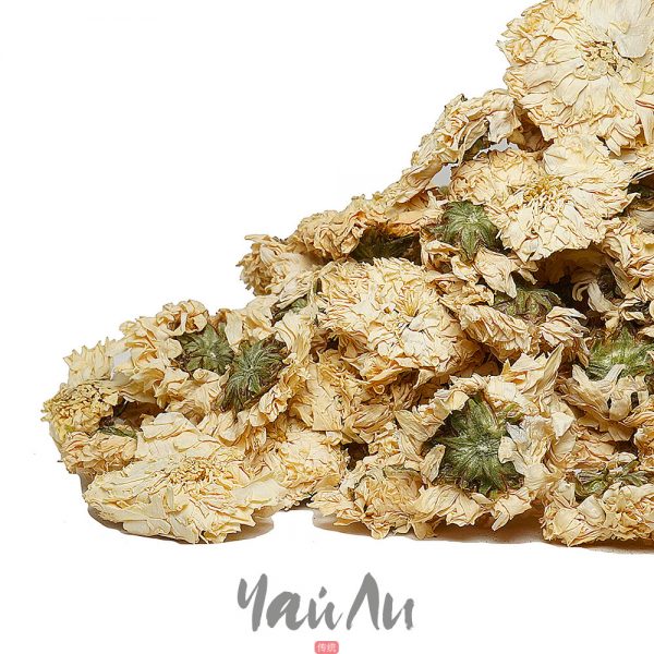 Хризантема