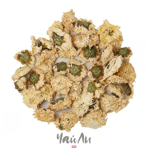 Хризантема