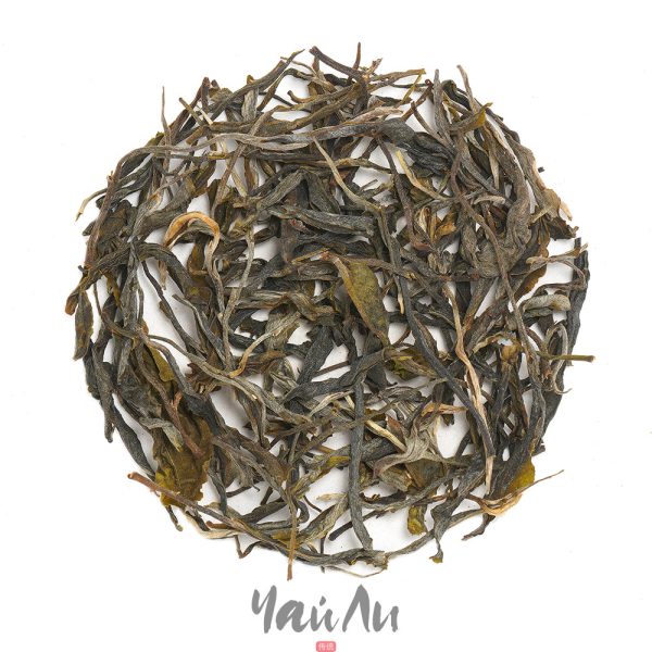 Шай Цин Мао Ча Да Шу Ча Бин Дао, весна 2020г