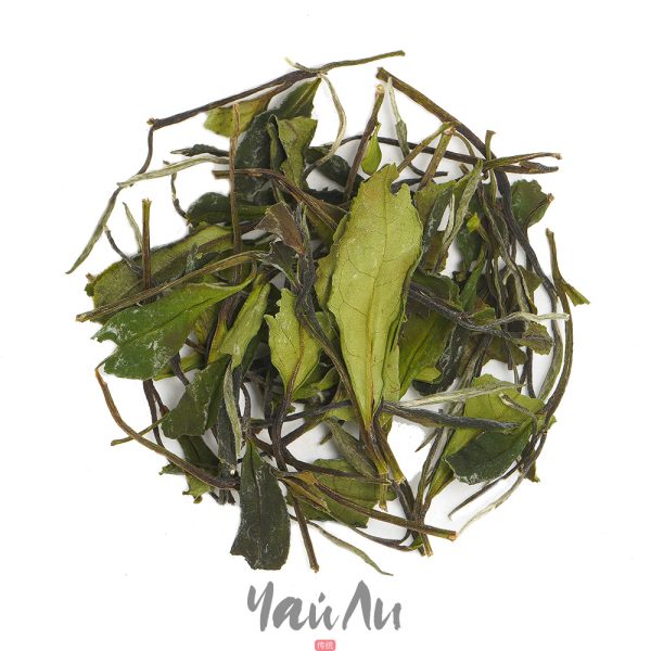 Шоу Мэй первая категория, Брови долголетия